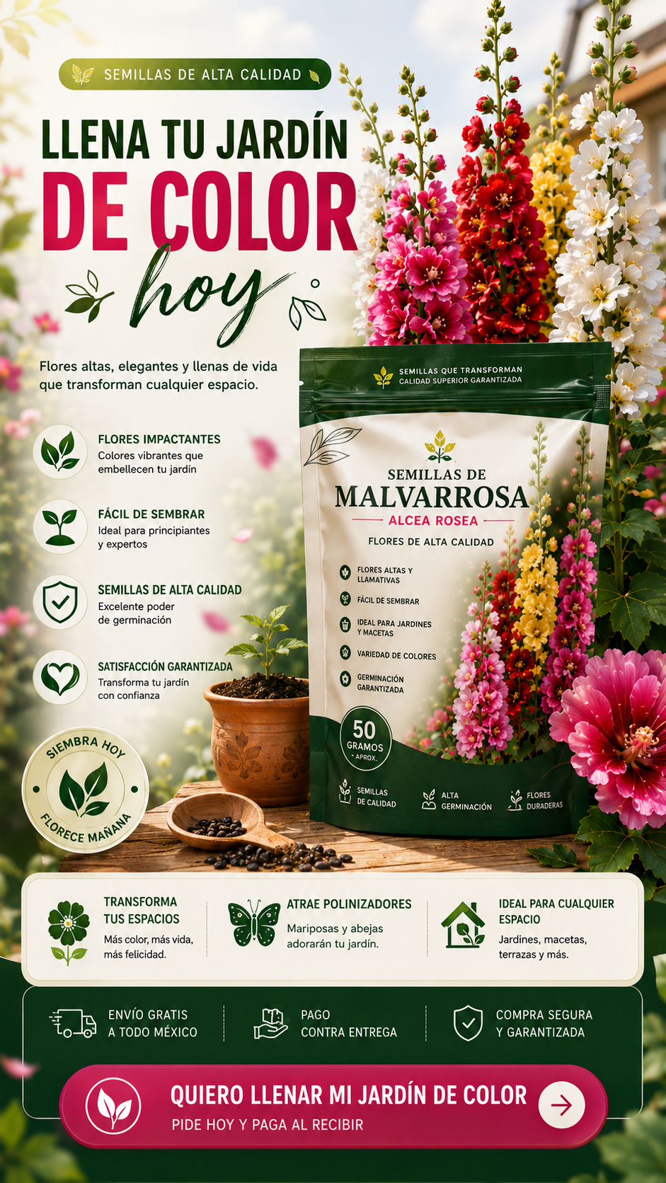 Semillas de malvarrosa de floración en múltiples estaciones🌱Pack de 2 bolsas (100 semillas)