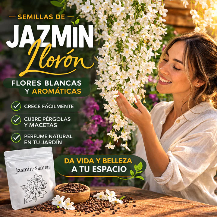 Jazmín Elegante™-Semillas de Jazmín Llorón Premium||30 semillas