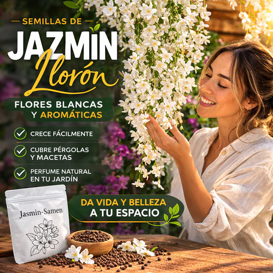 Jazmín Elegante™-Semillas de Jazmín Llorón Premium||30 semillas