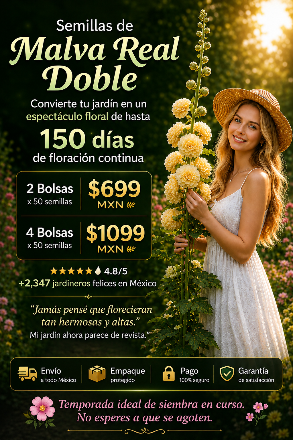 Semillas de malvarrosa de floración en múltiples estaciones🌱Pack de 2 bolsas (100 semillas)